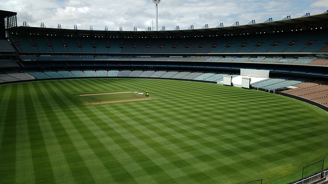 明了他们的 明了他们的