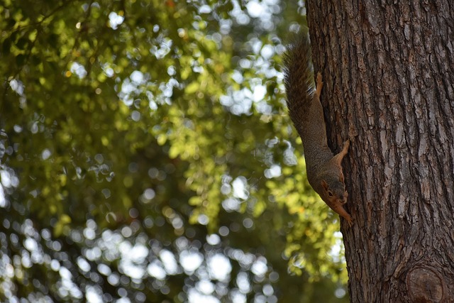 精准为球队 精准为球队