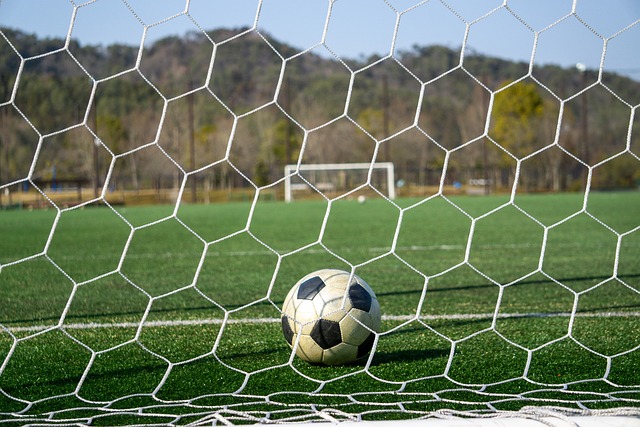 球员之所以 球员之所以