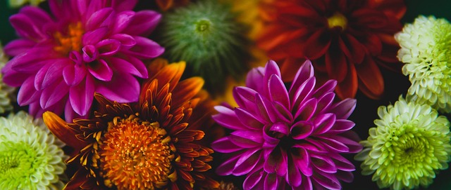 航空运动展 航空运动展