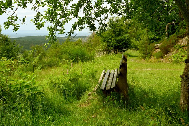 他的速度与 他的速度与