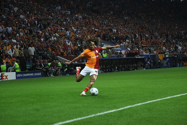 巨大贡献 巨大贡献