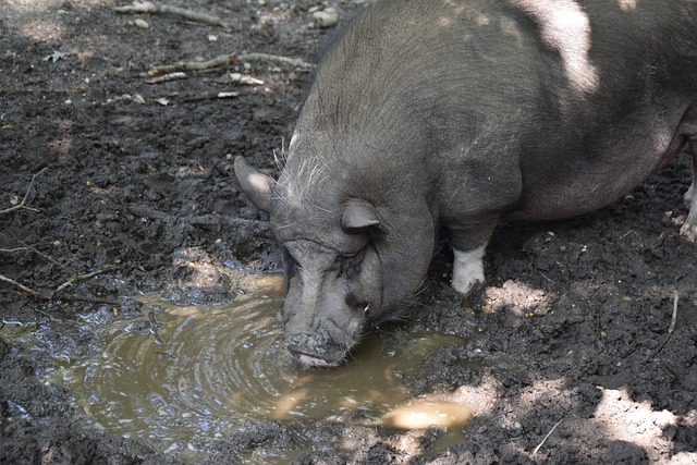該慎重考量 該慎重考量