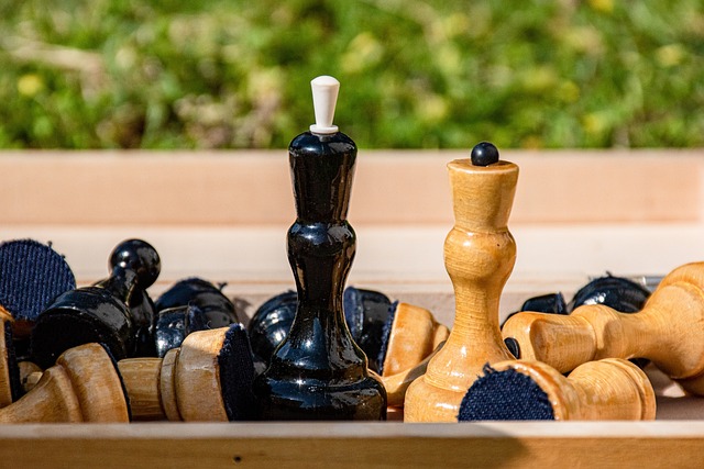 力与摄影的 力与摄影的