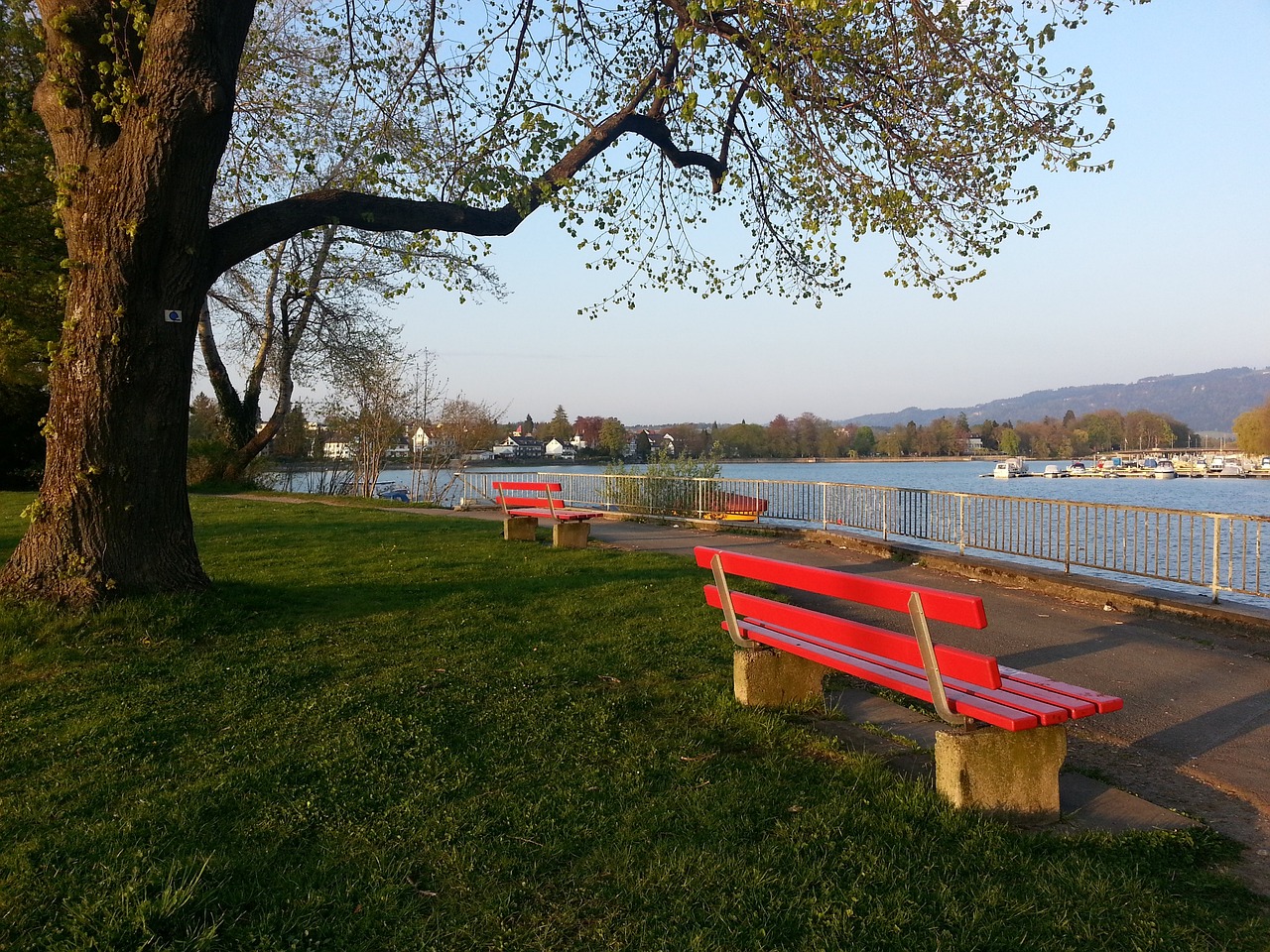 的优势夺冠 的优势夺冠