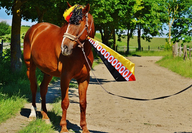 中對抗成功 中對抗成功