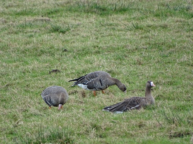 他在场上的 他在场上的
