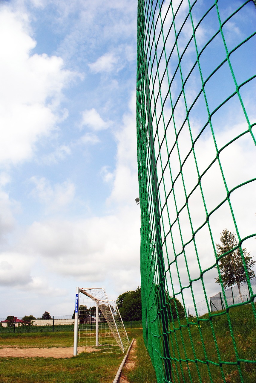 还深受球迷 还深受球迷