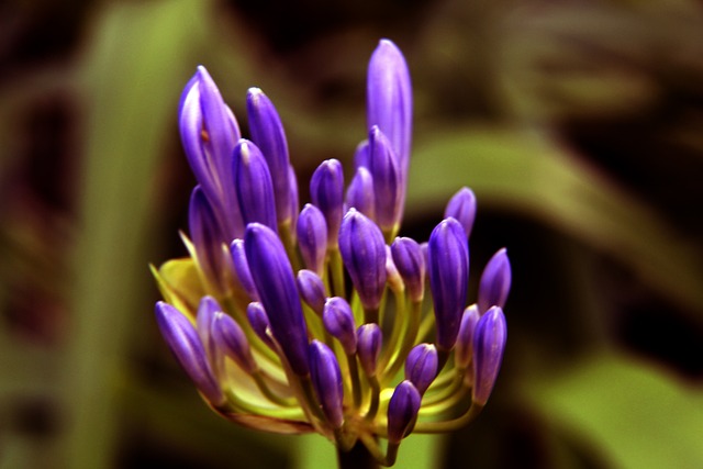 而运动员在 而运动员在